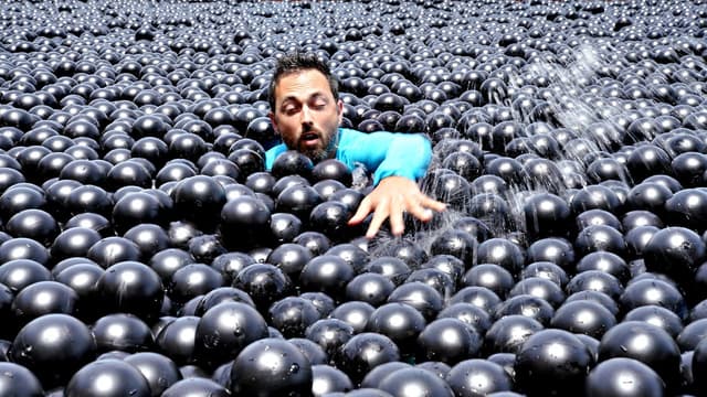 Can You Swim in Shade Balls?