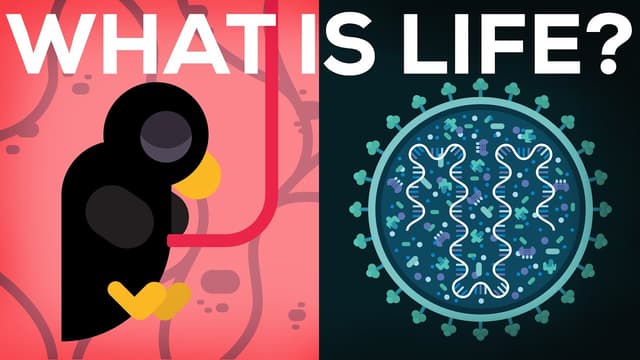 Science and other stuff explained